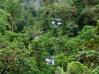 One day Costa Rica Rain Forest Aerial Tram Tour
